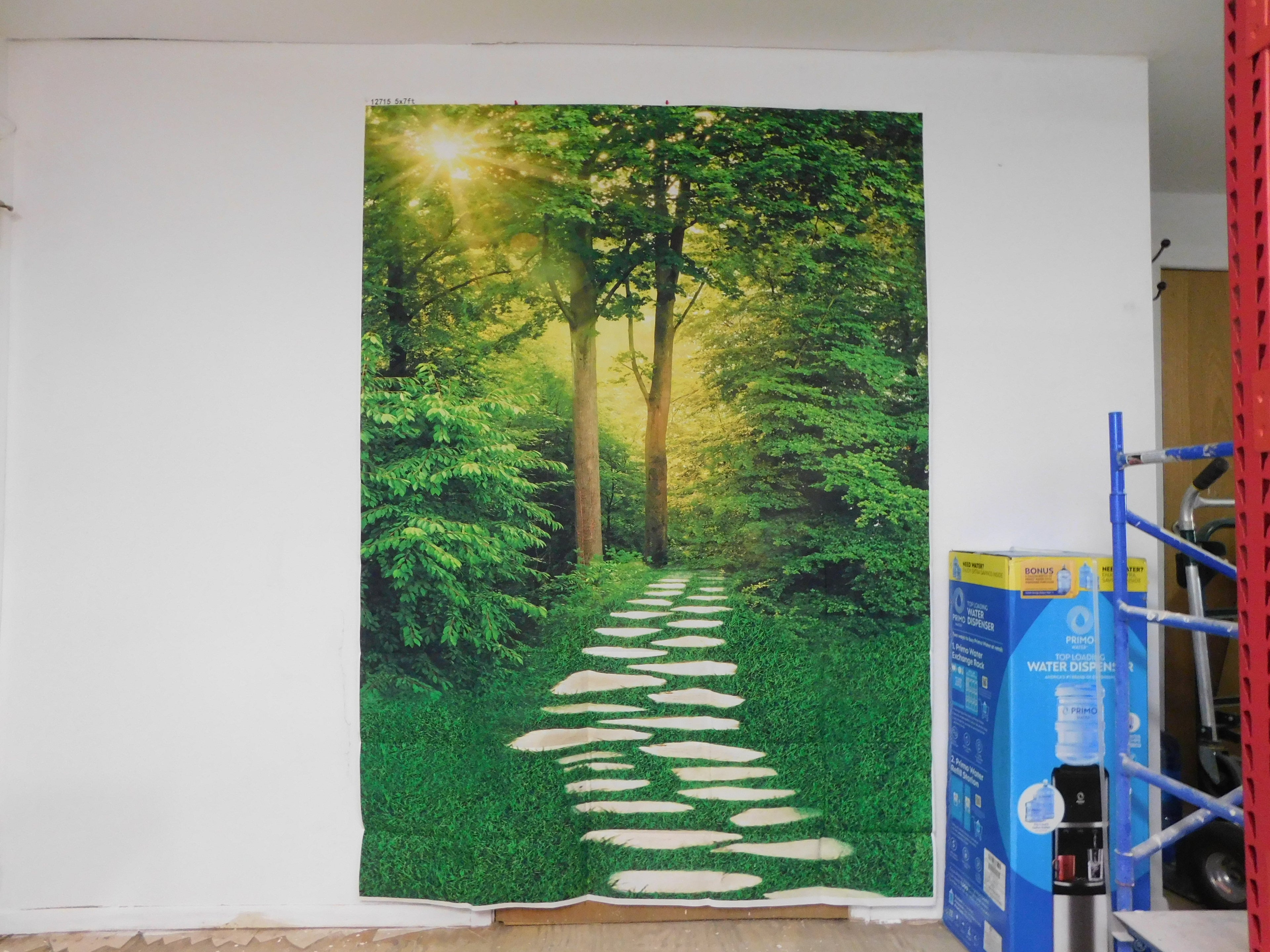 5X7 Backdrop Forest
